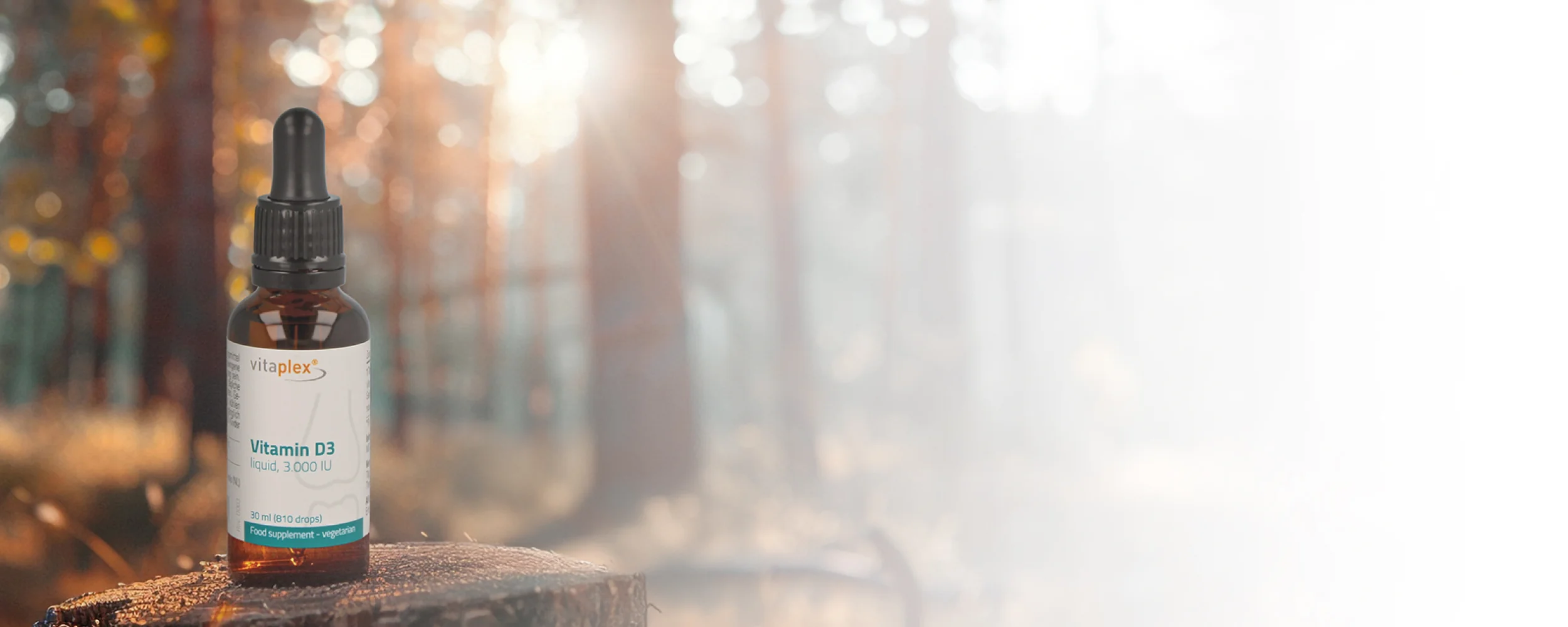 Elevate Your Inner Strength